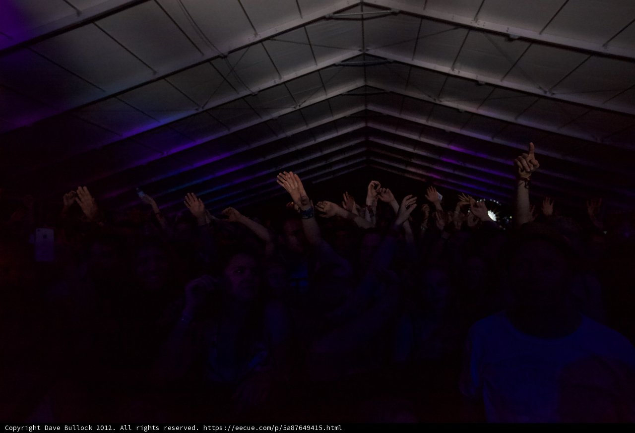 Coachella Concert-goers Raise the Roof