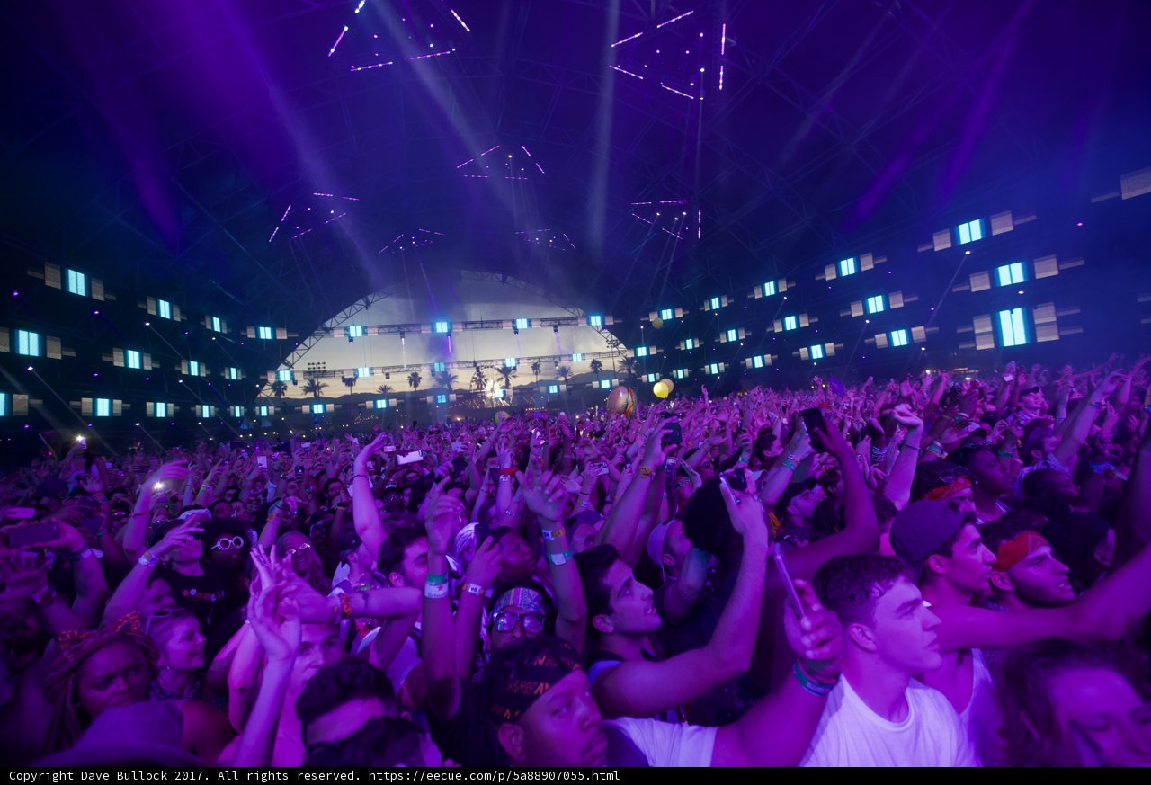 Purple Haze at Coachella