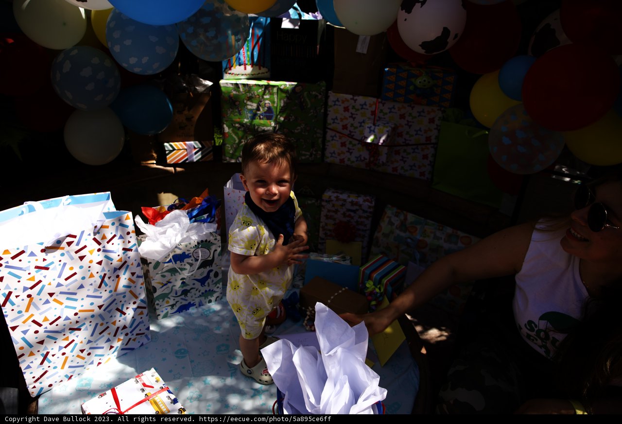 Heartwarming Moments from Wesley's First Birthday Bash