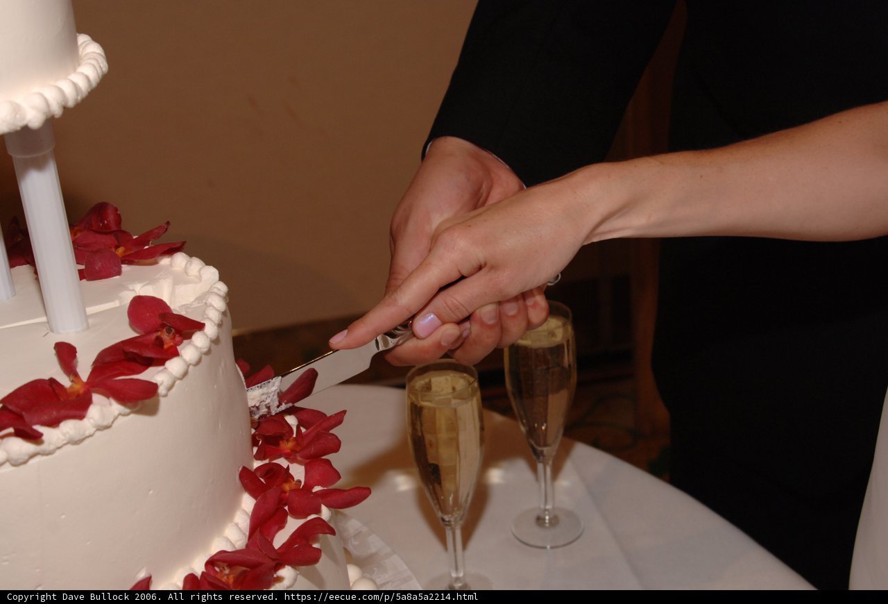 Cutting the Wedding Cake