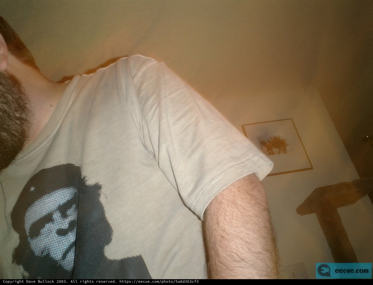 Portrait of a Man in a T-Shirt