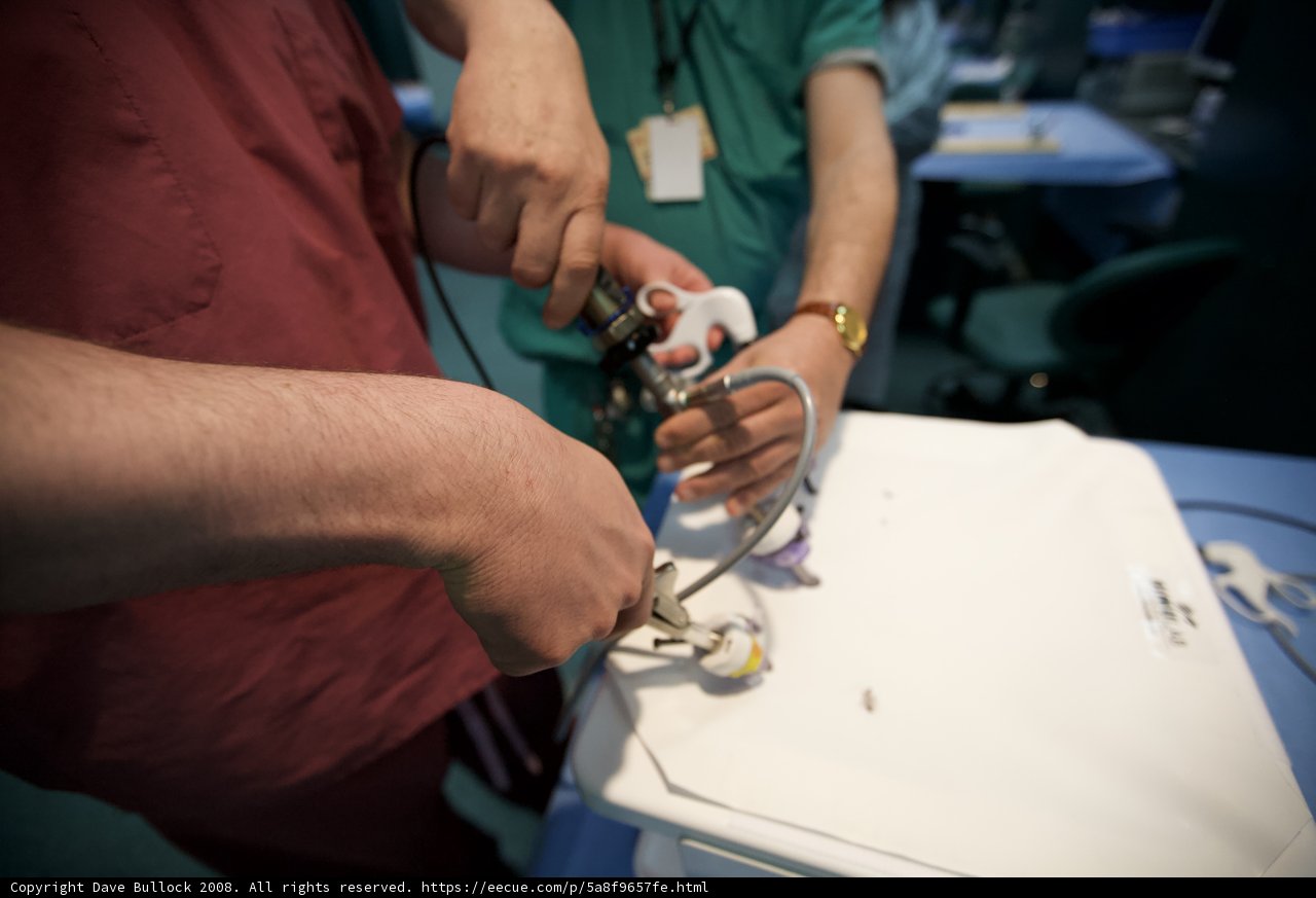 Surgeon Conducting a Medical Procedure