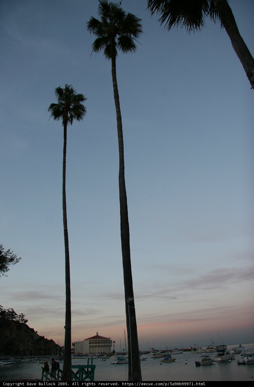 A Tropical Sunset