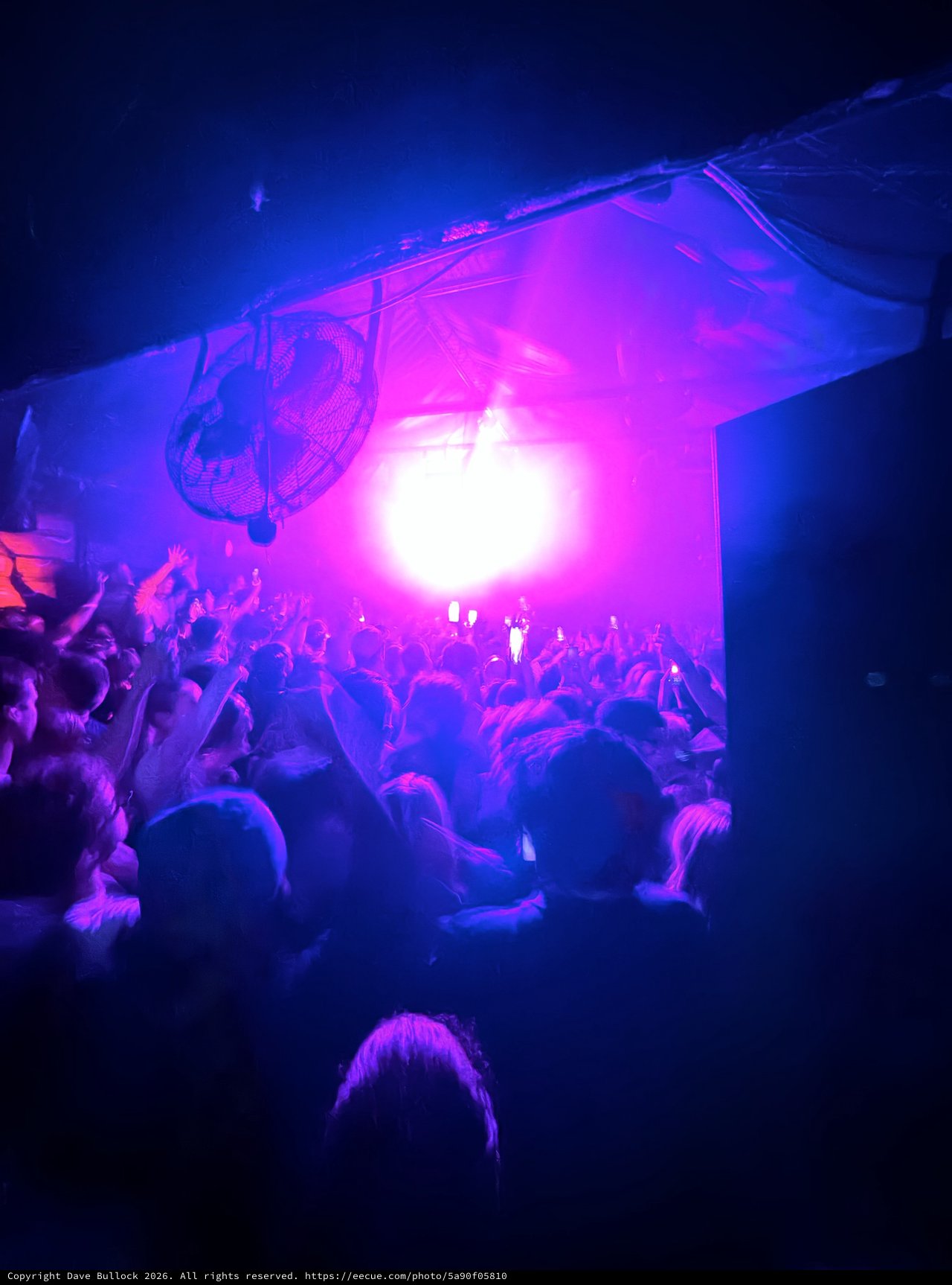 Immersive Concert Experience with Purple and Blue Stage Lighting