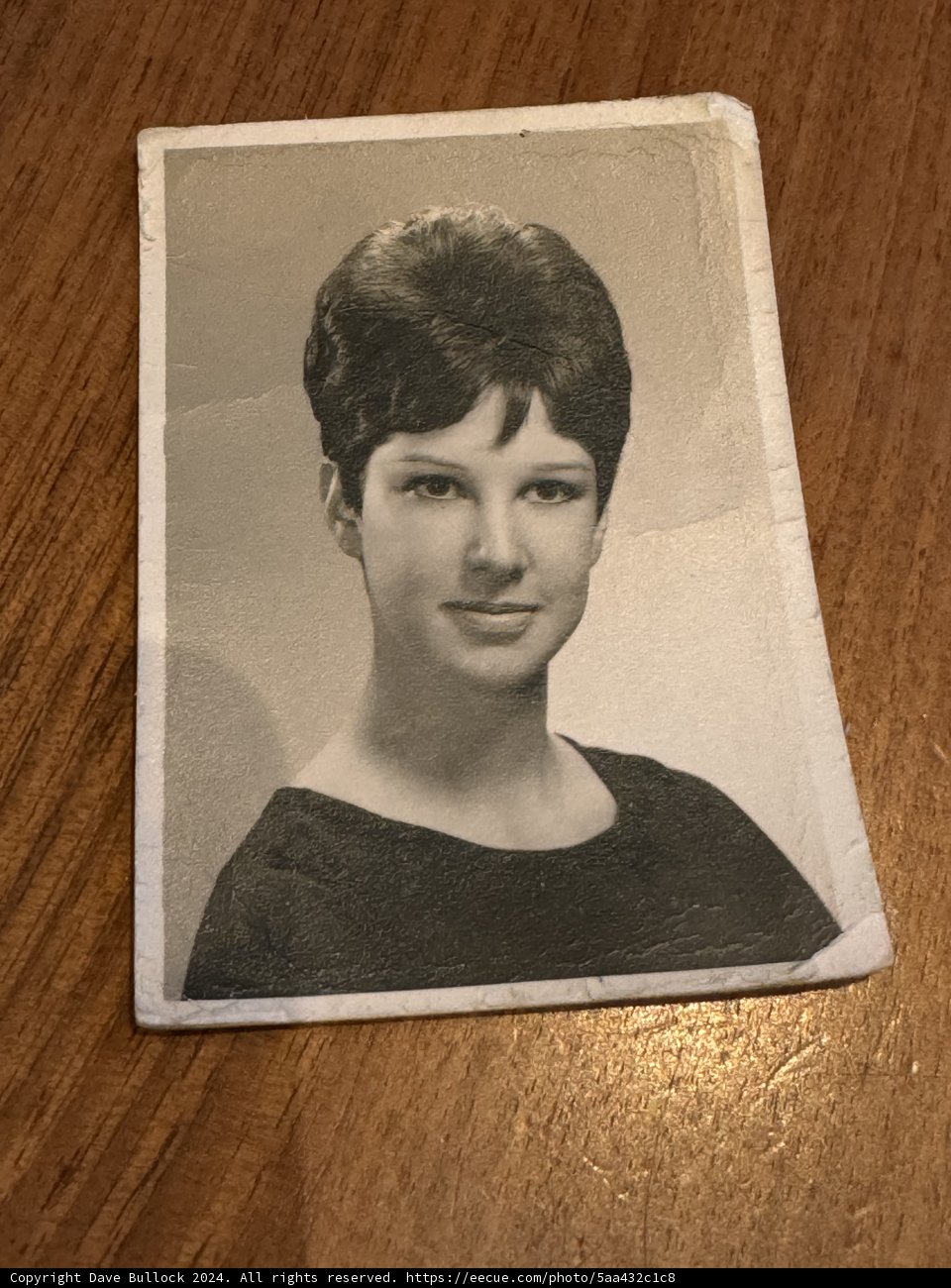 Portrait of Time: An Artistic View of a Woman with Short Hair