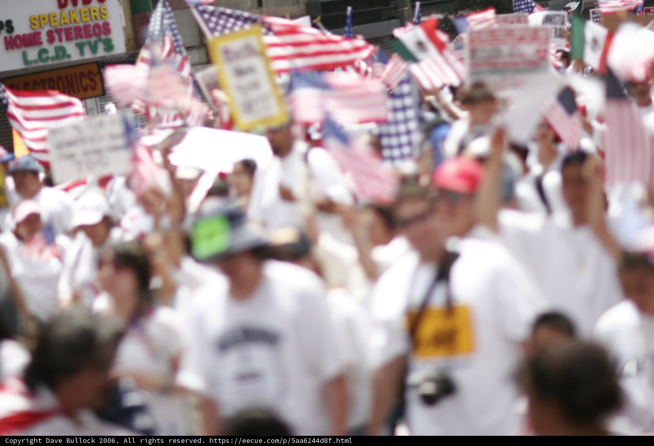 Patriotic Protesters