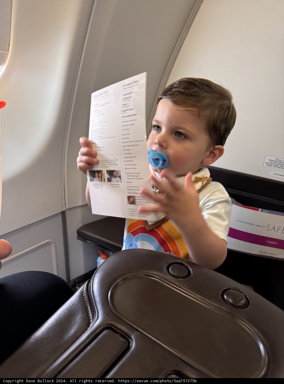 Little Traveler’s Delight