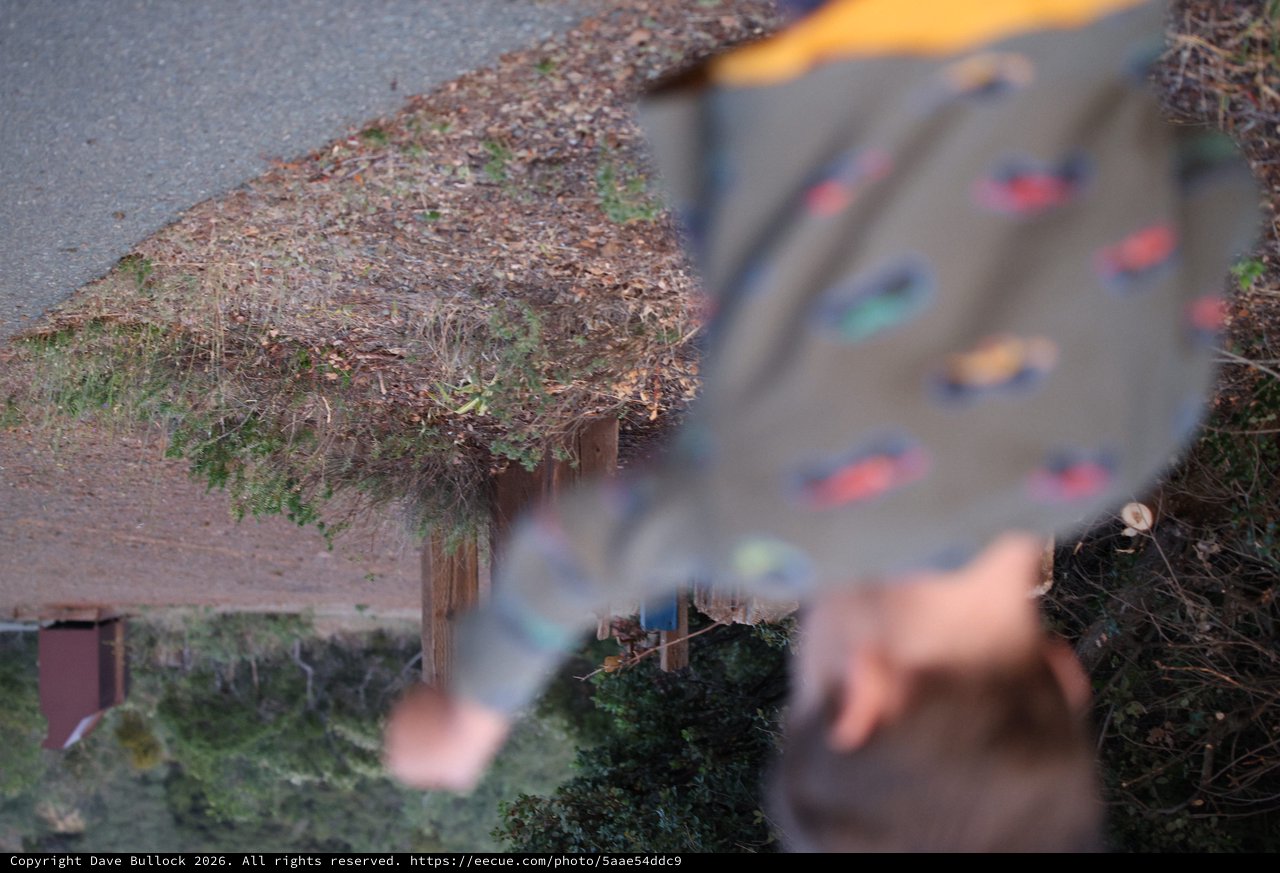 Child's Playful Blur at Mount Diablo Campsite