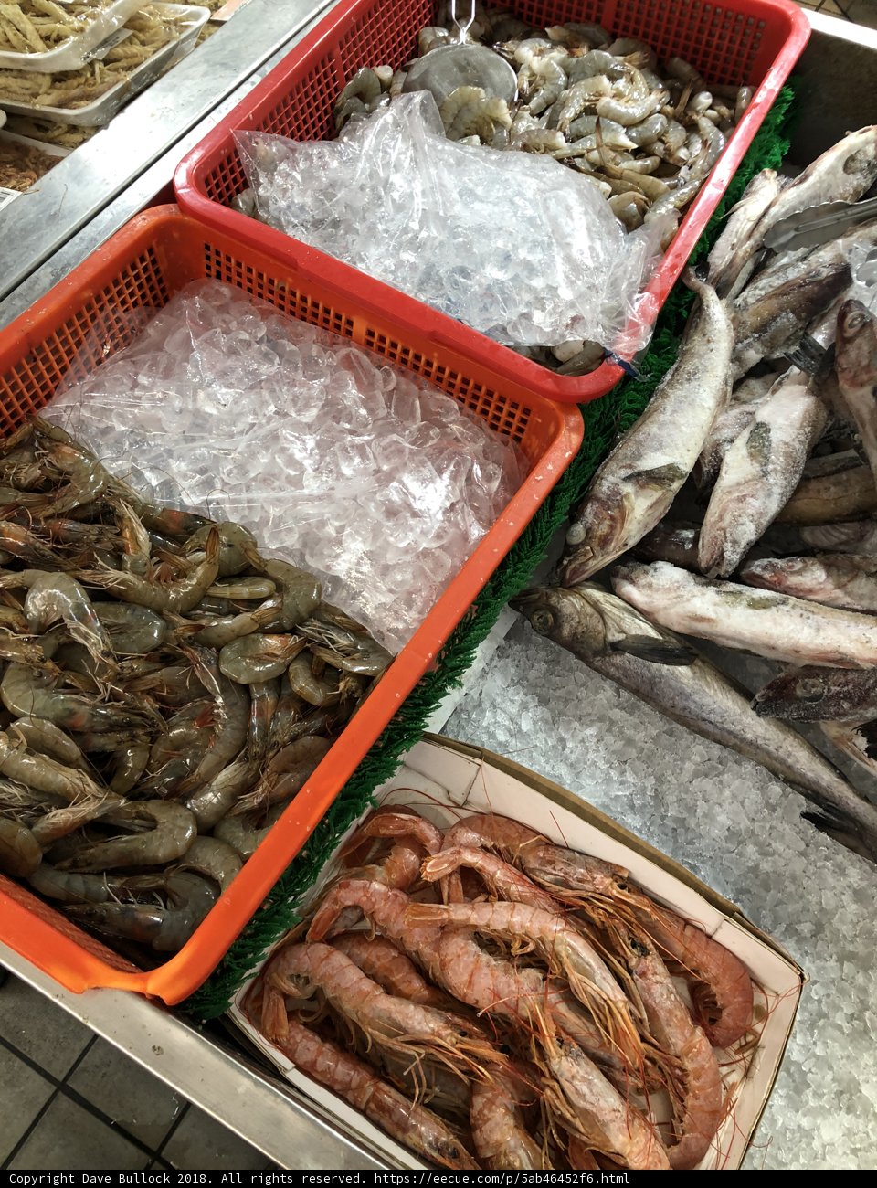 The Seafood Haven