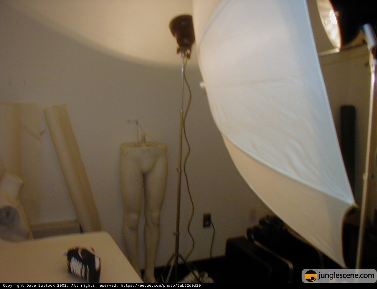 Mannequin in a Modern Studio