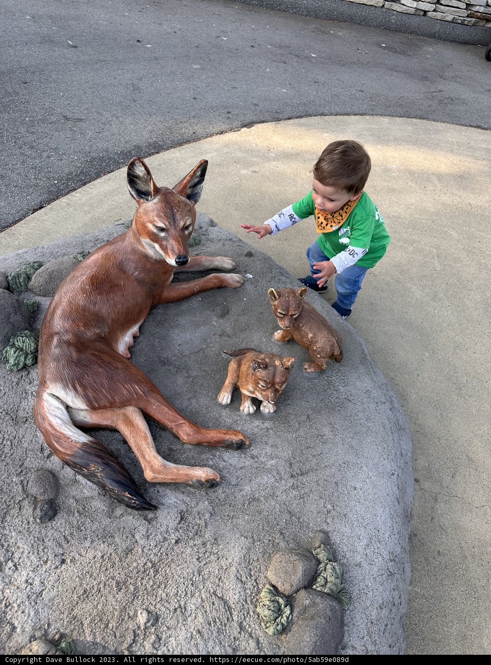 Curiosity at San Francisco Zoo