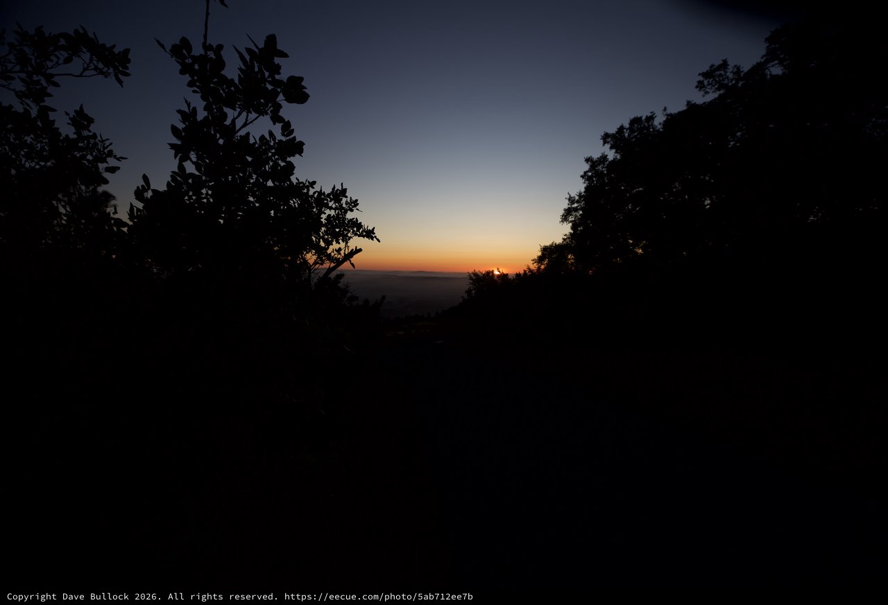 Last Light Through the Trees at Mount Diablo