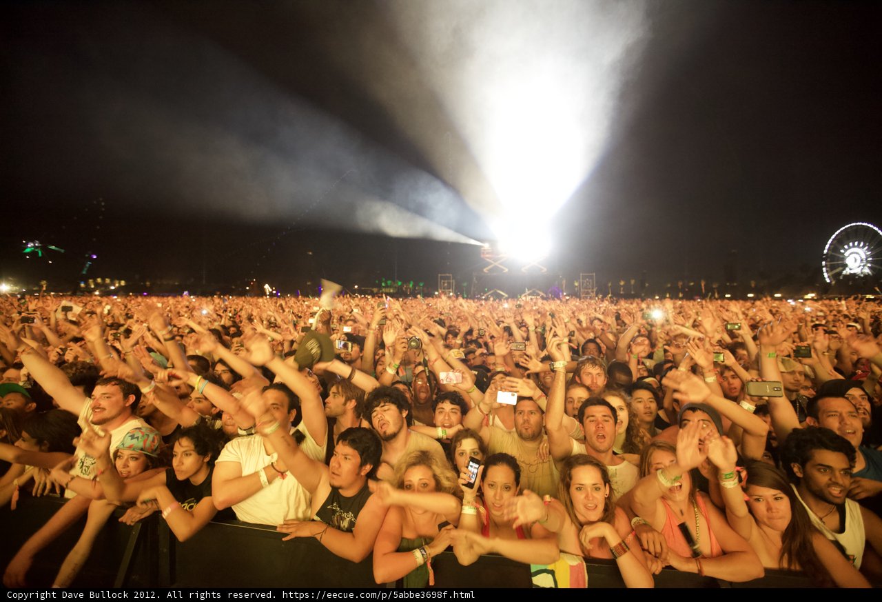 Electric Energy: The Concert Crowd Comes Alive