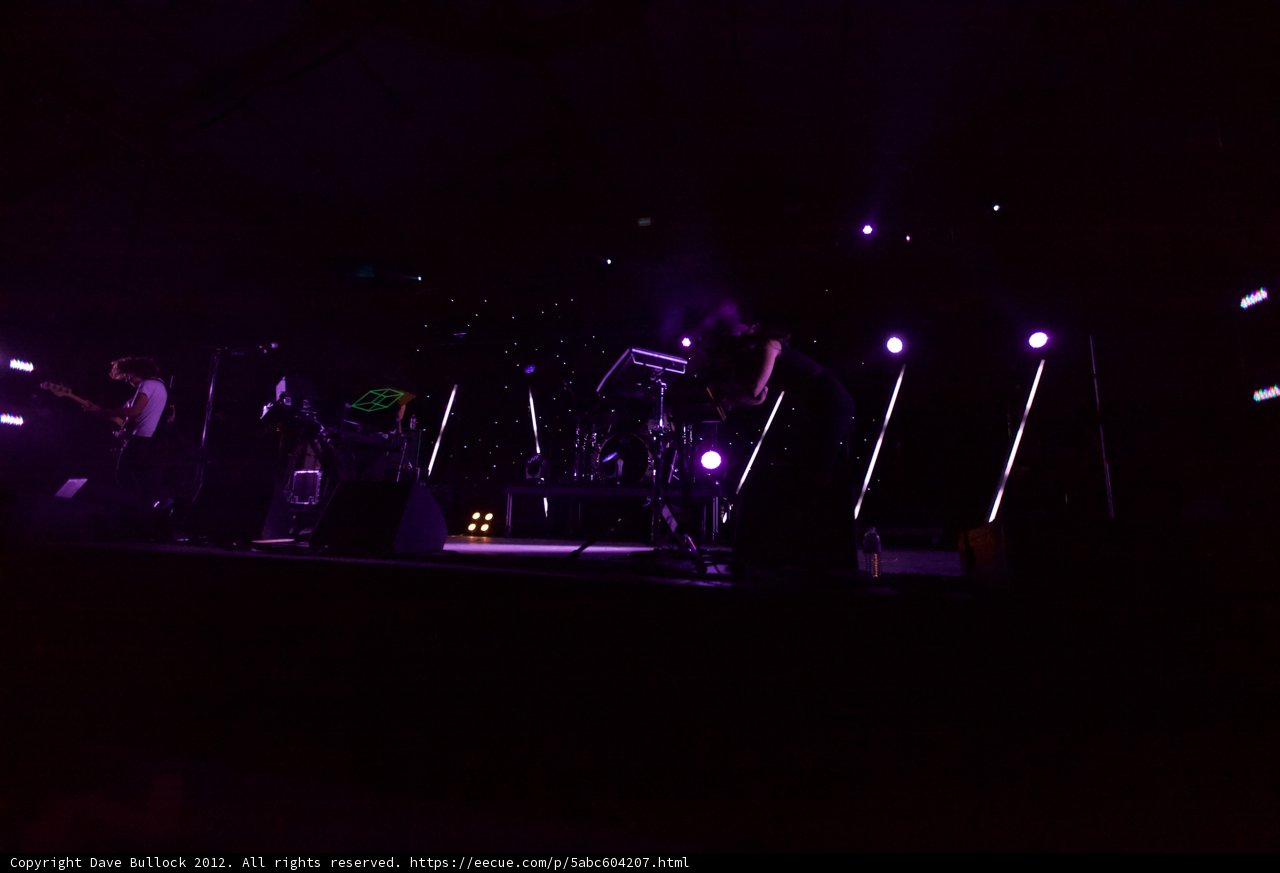 Purple Haze Performance