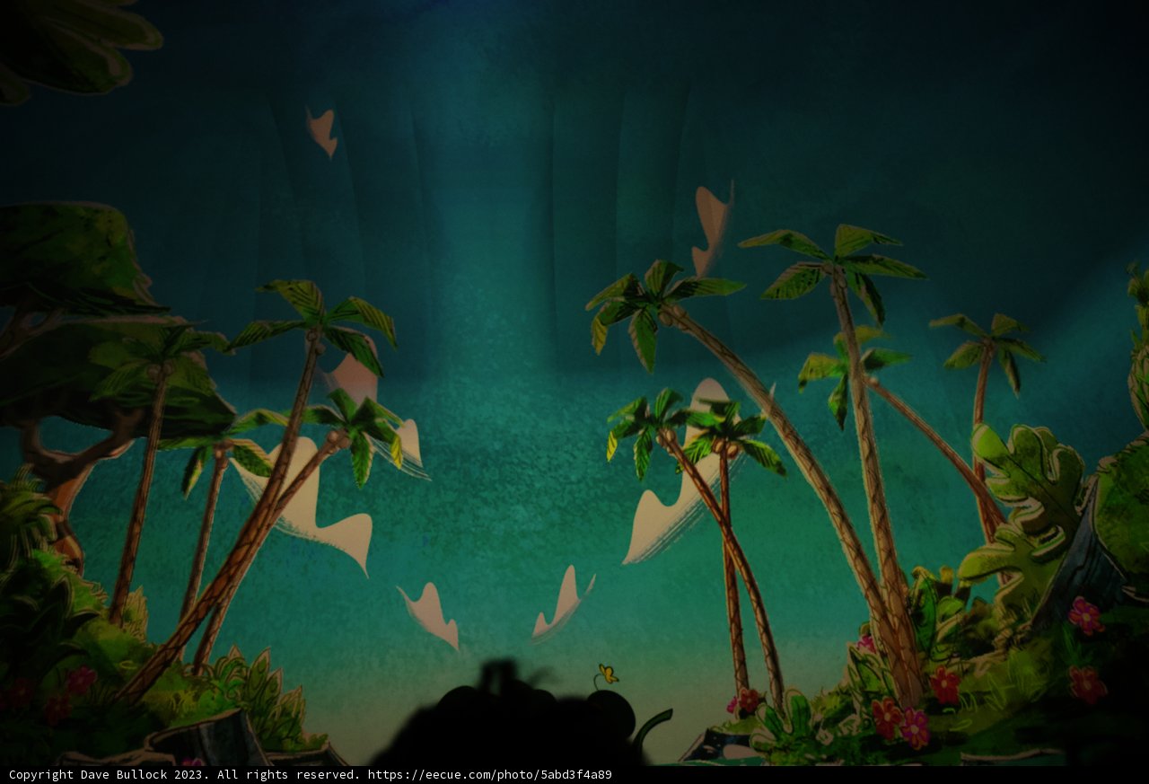 Tropical Mural Adventure