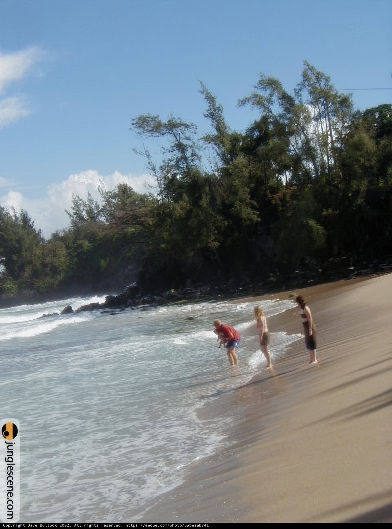 Catching Waves in Hawaii
