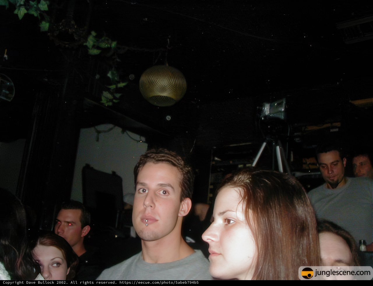 Nightclub Crowd