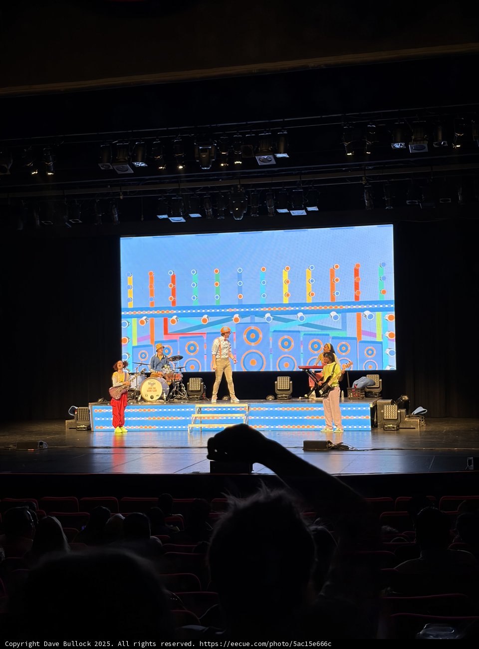 Vibrant Harmonies at the Palace
