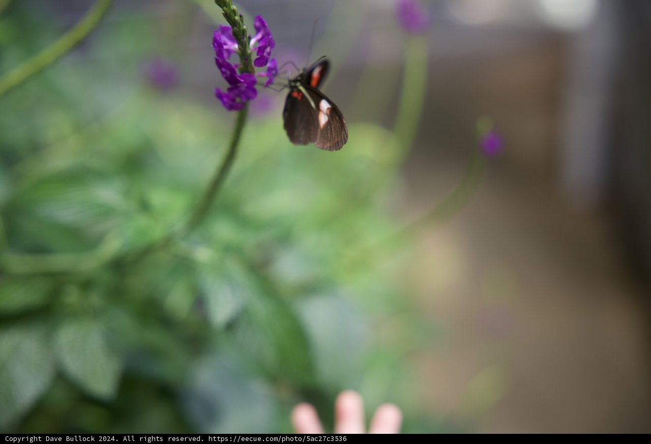Magical Moments in Nature