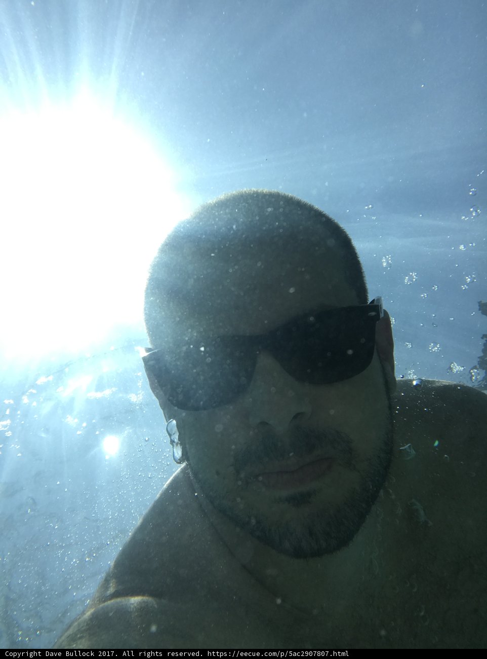 Submerged in Shades