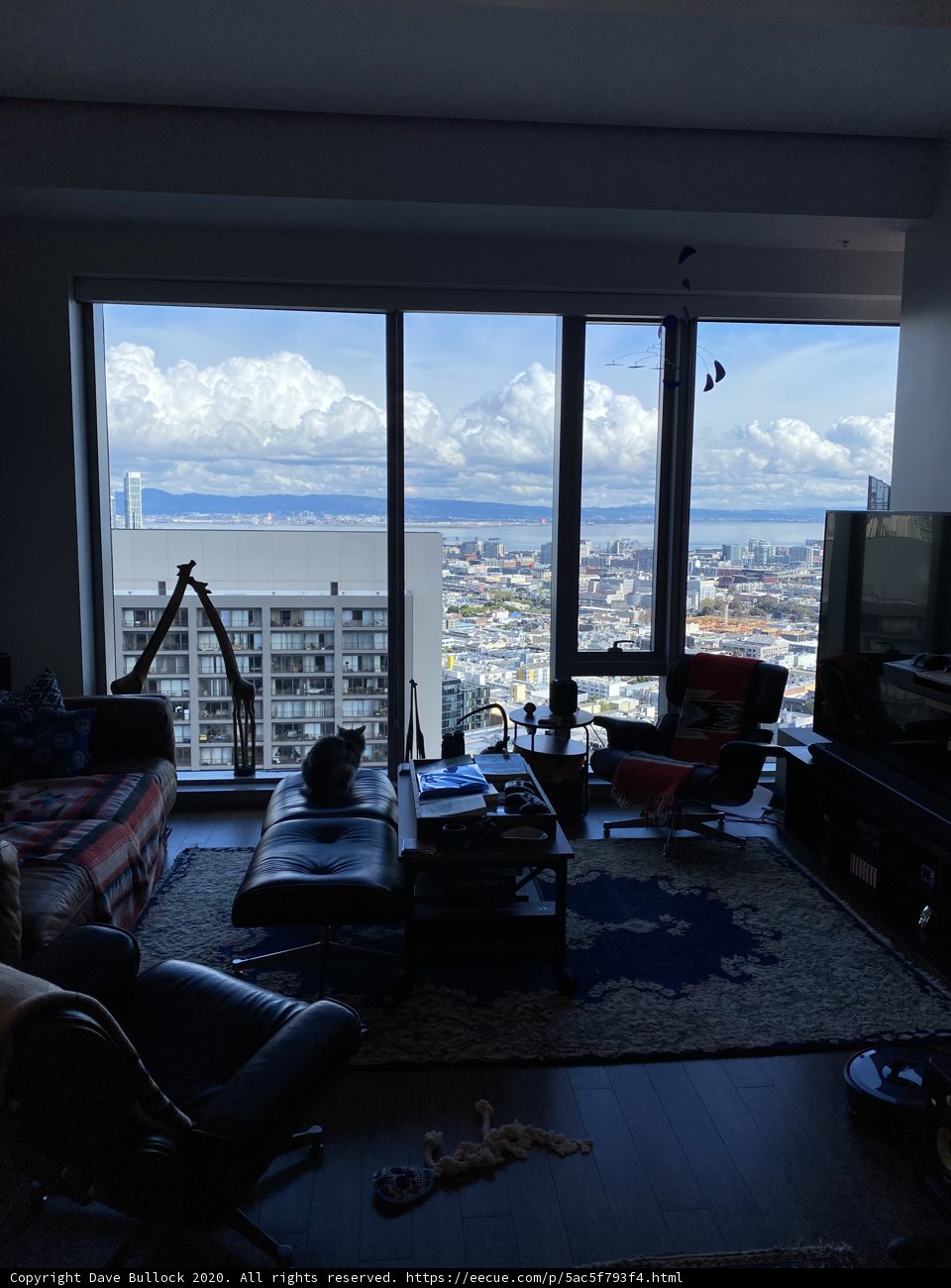 The Penthouse View