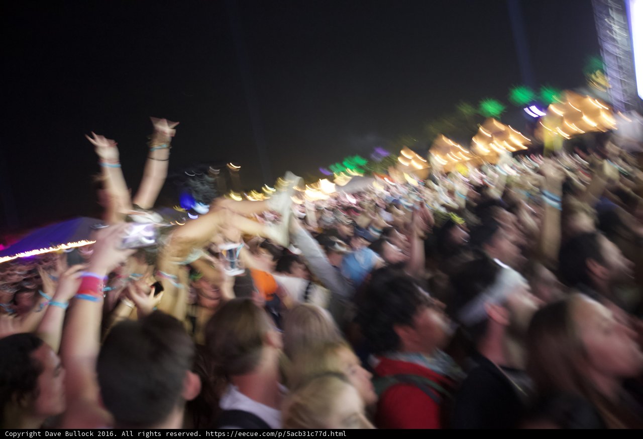 The Rocking Crowd under the Night Sky