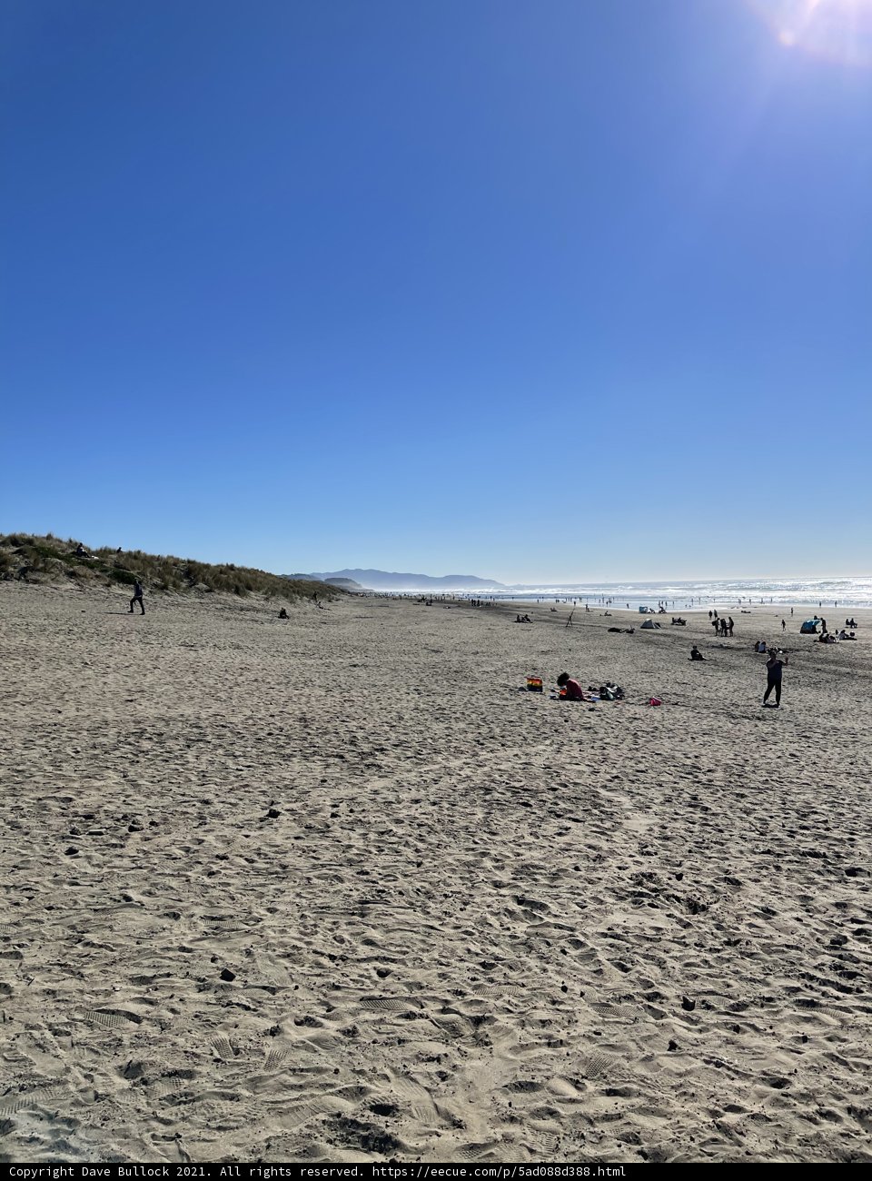 Beach Day Fun