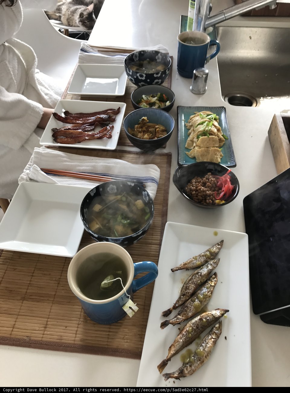 A Meal Fit for a Feline