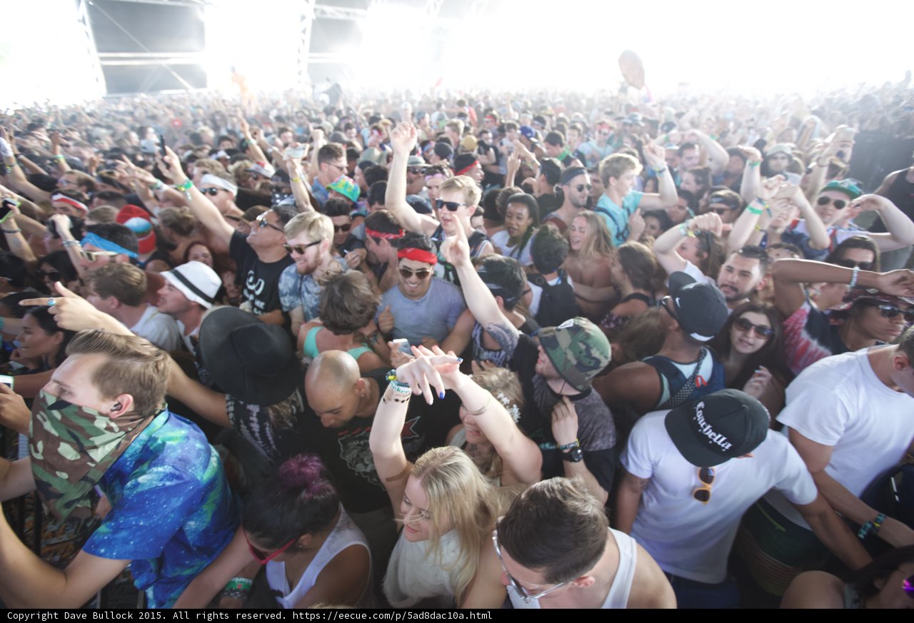 Festival Wristbands Up