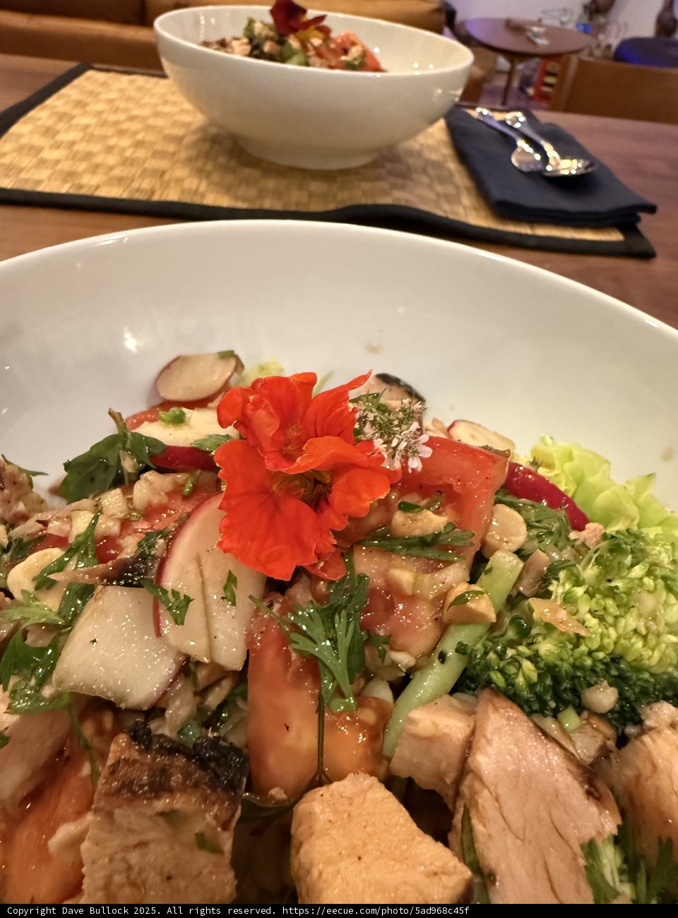 Vibrant Symphony of Flavors