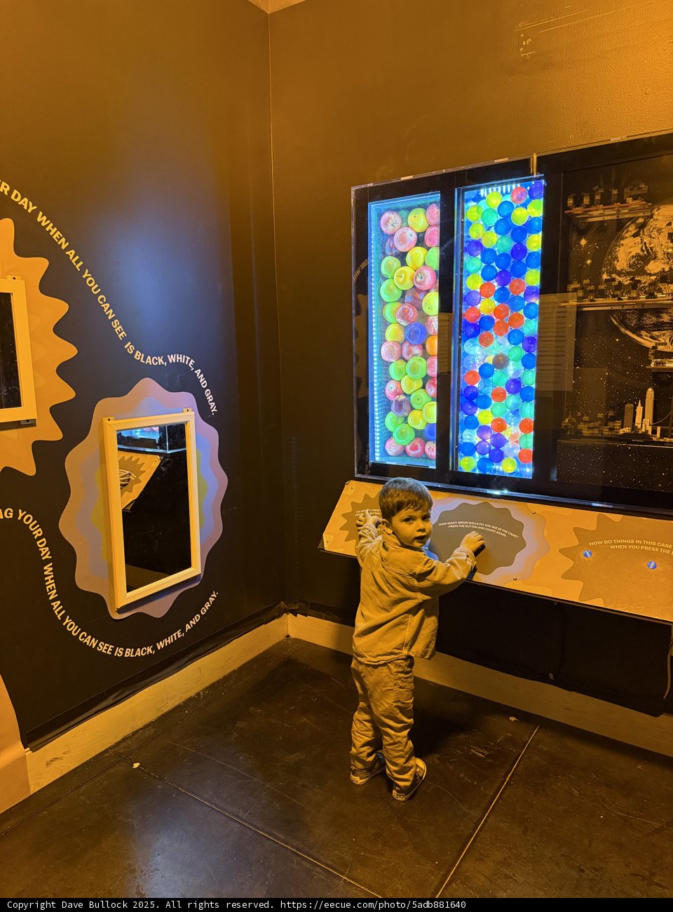 Exploring the Colors of Curiosity