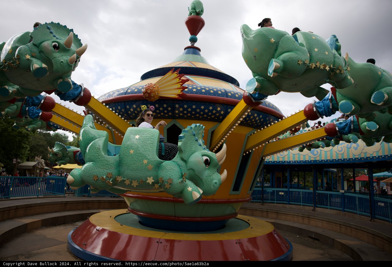 A Roaring Ride in Animal Kingdom