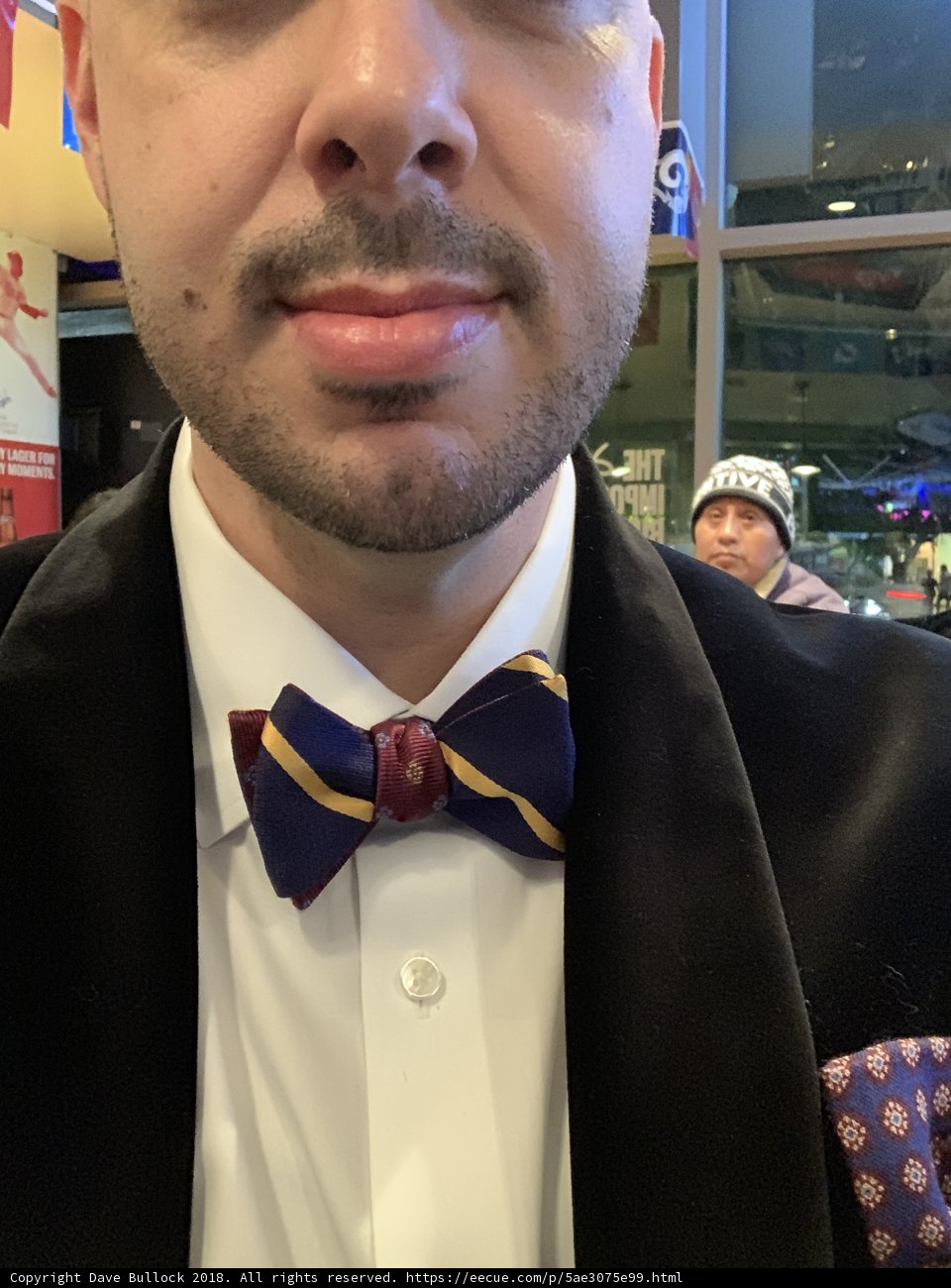 Sophistication in a Bow Tie