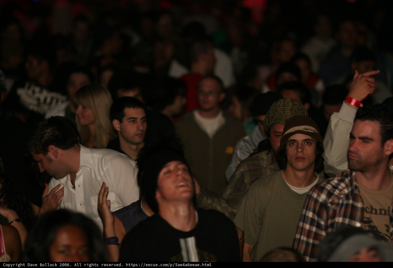 Electric Nightlife: Miles Robbins Rocks the Crowd