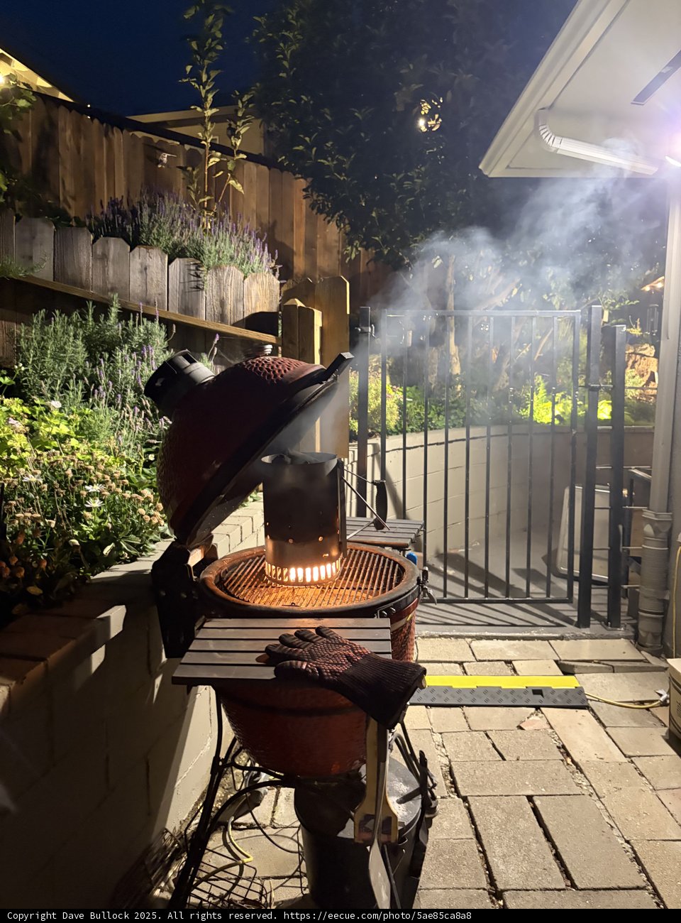 Evening Grilling Vibes