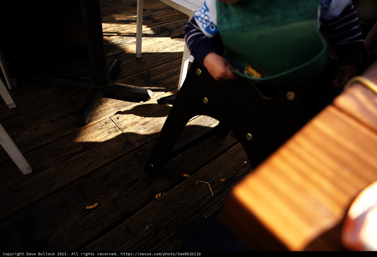 A Charming Moment in the Wooden Haven