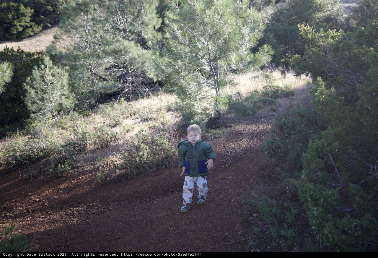 Tiny Explorer on a Mountain Trail Adventure