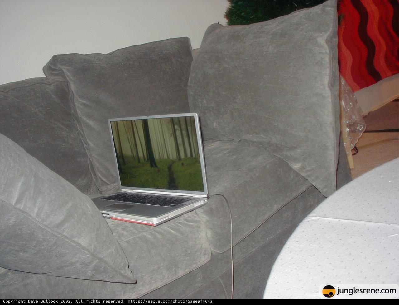 The Ultimate Work-From-Home Setup