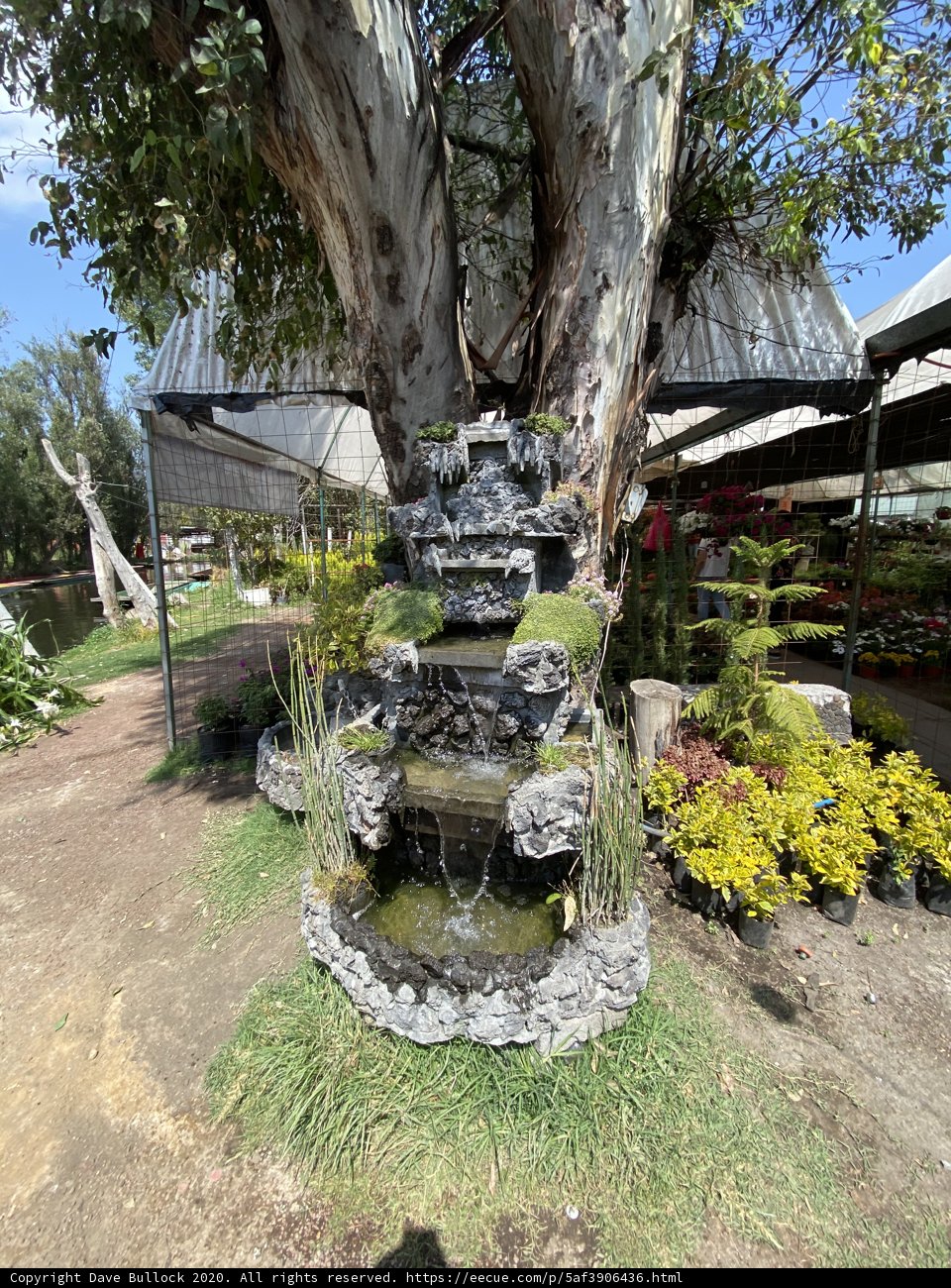 Tranquility in the Garden