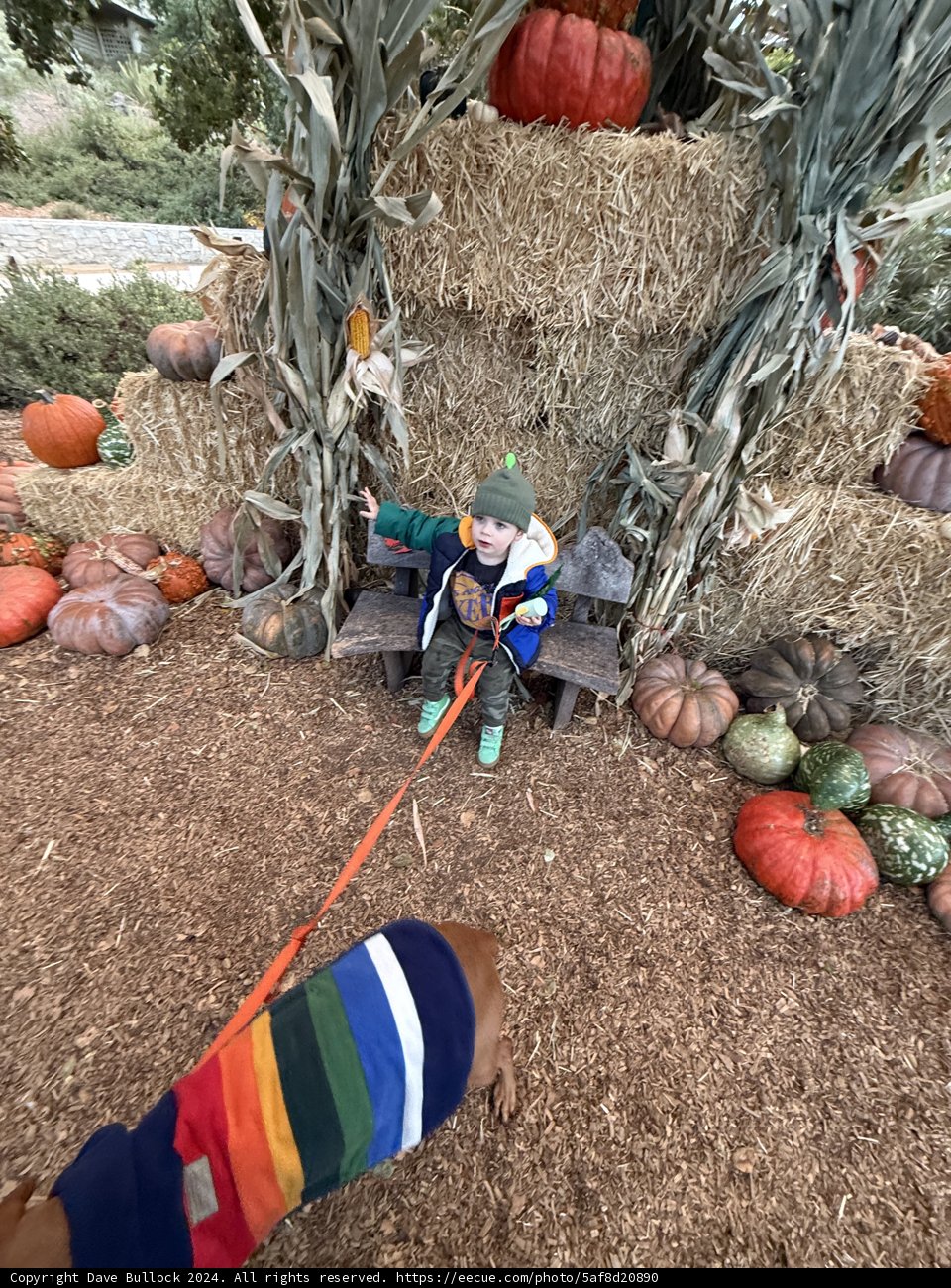 Autumn Harvest Adventure