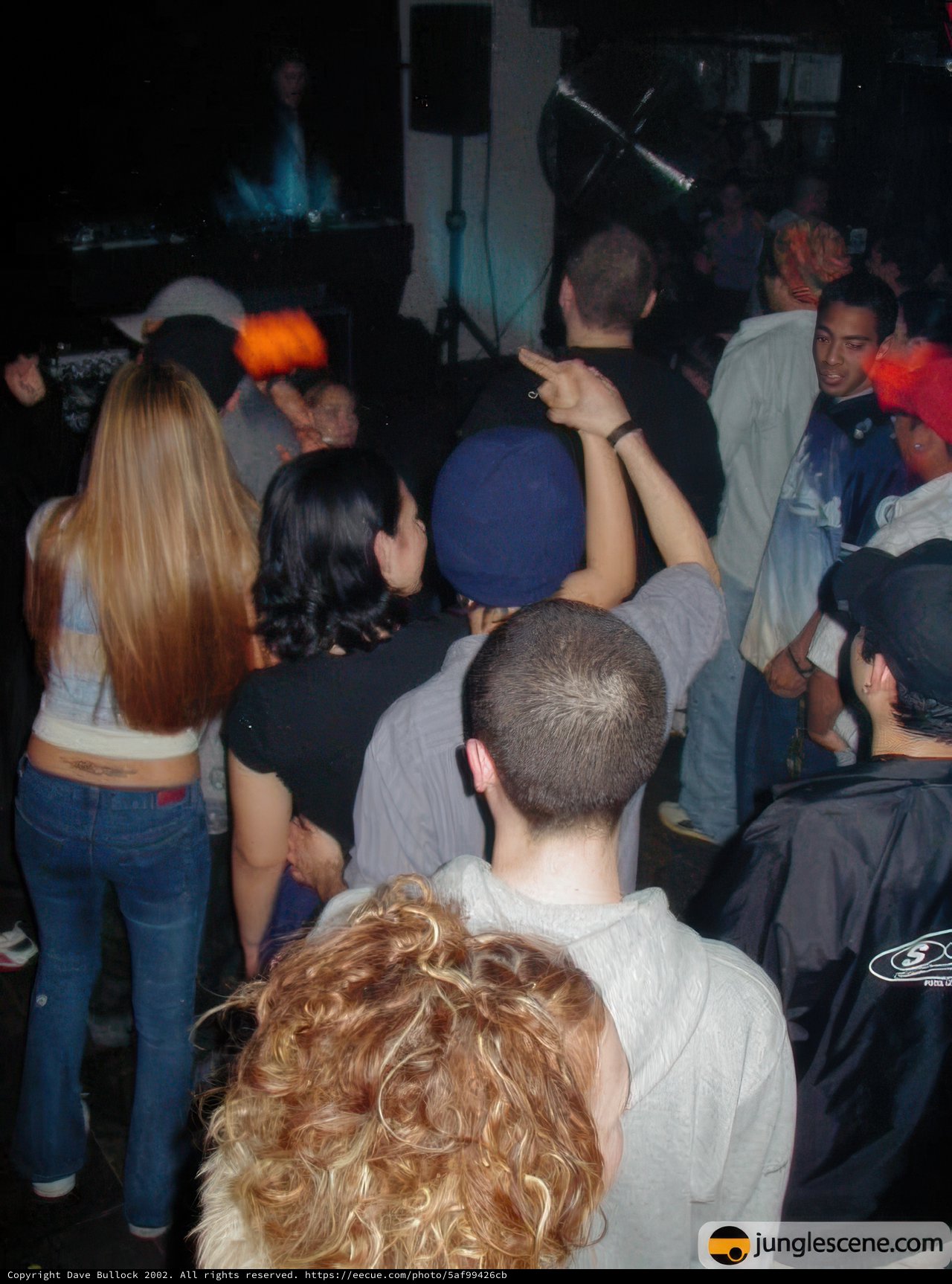 Nightclub Partygoers