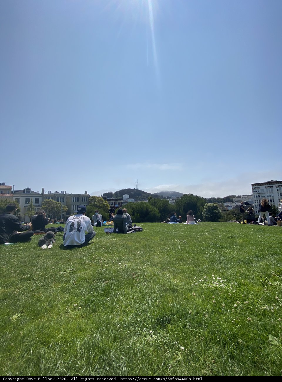 Relaxing Day in Alamo Square Park