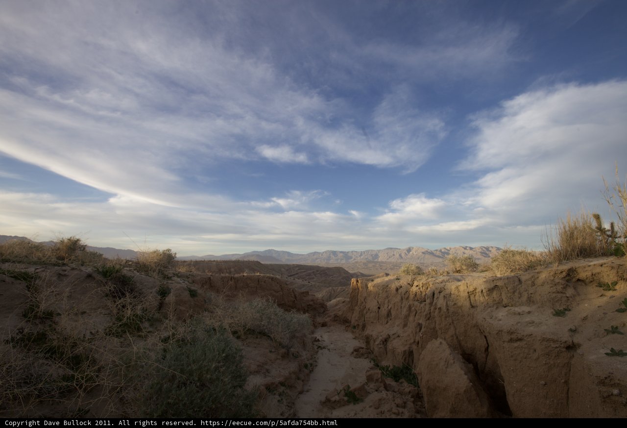 Desert Path