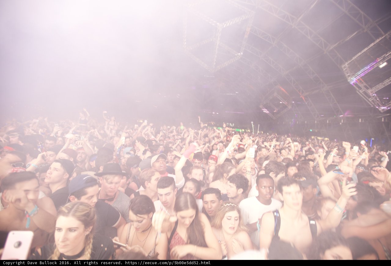 Coachella 2016: Dancing in the Urban Jungle
