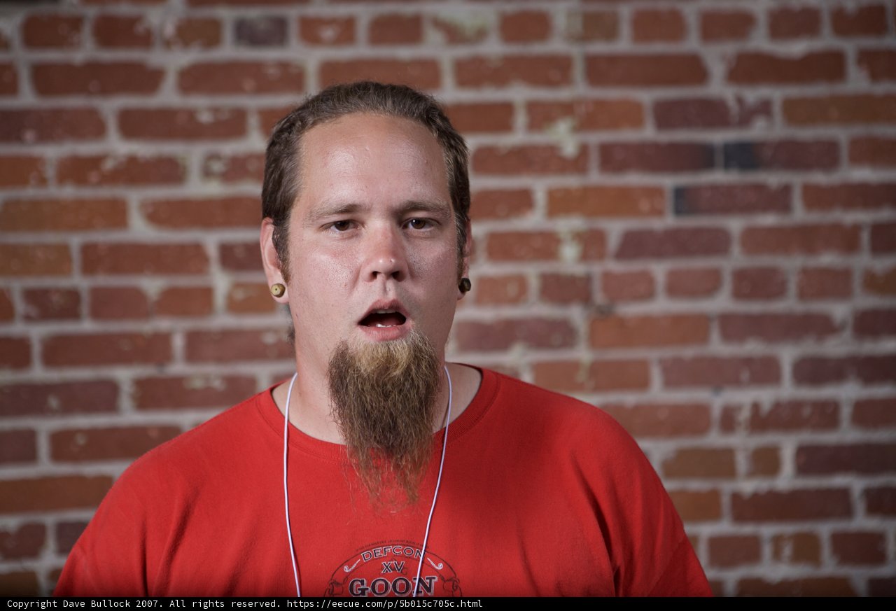 Red-Shirted Man with a Full Beard