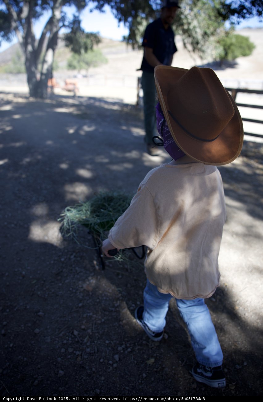 Little Cowboy's Morning Chores