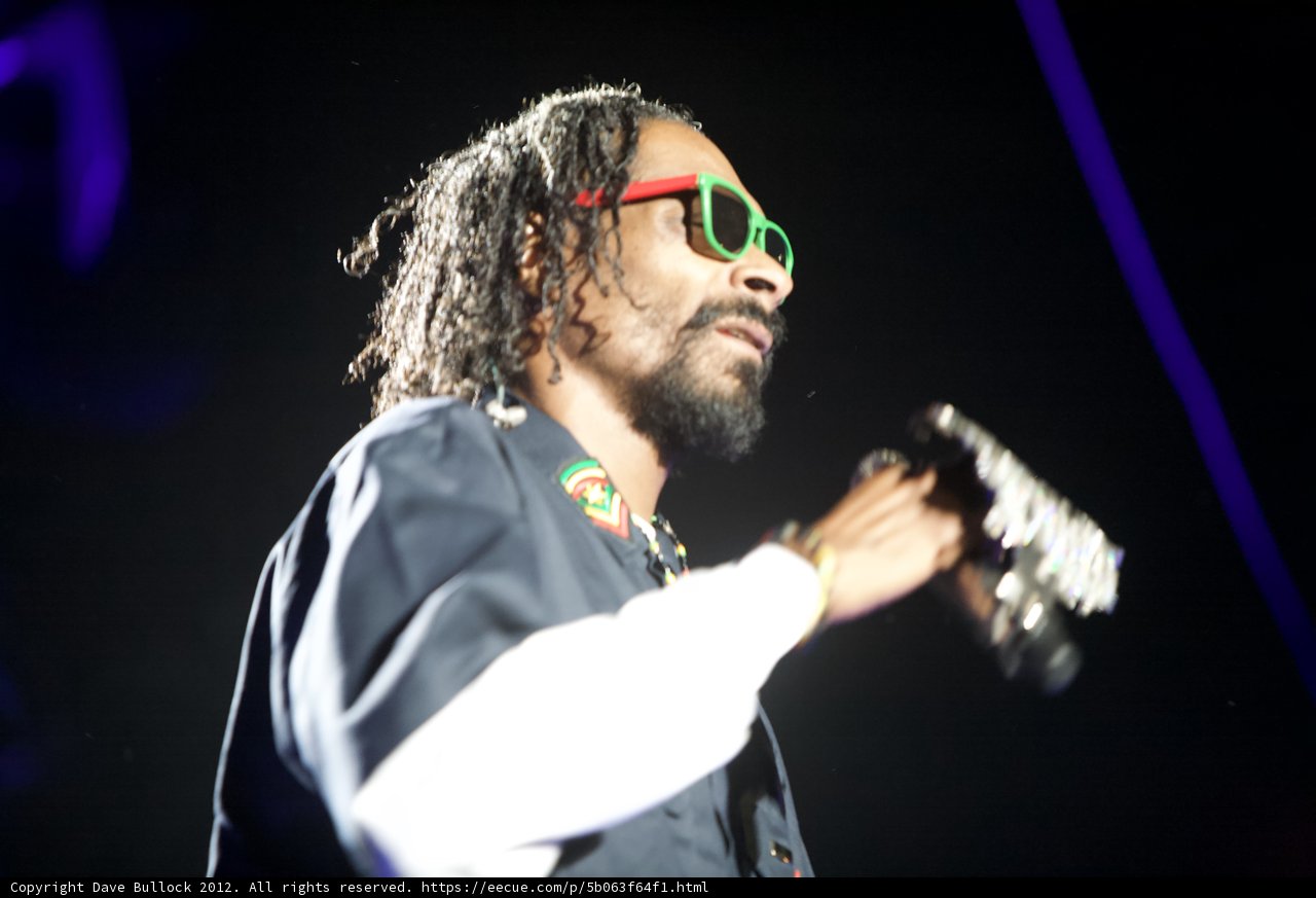 Snoop Dogg's Solo Performance at the 2012 Grammy Awards