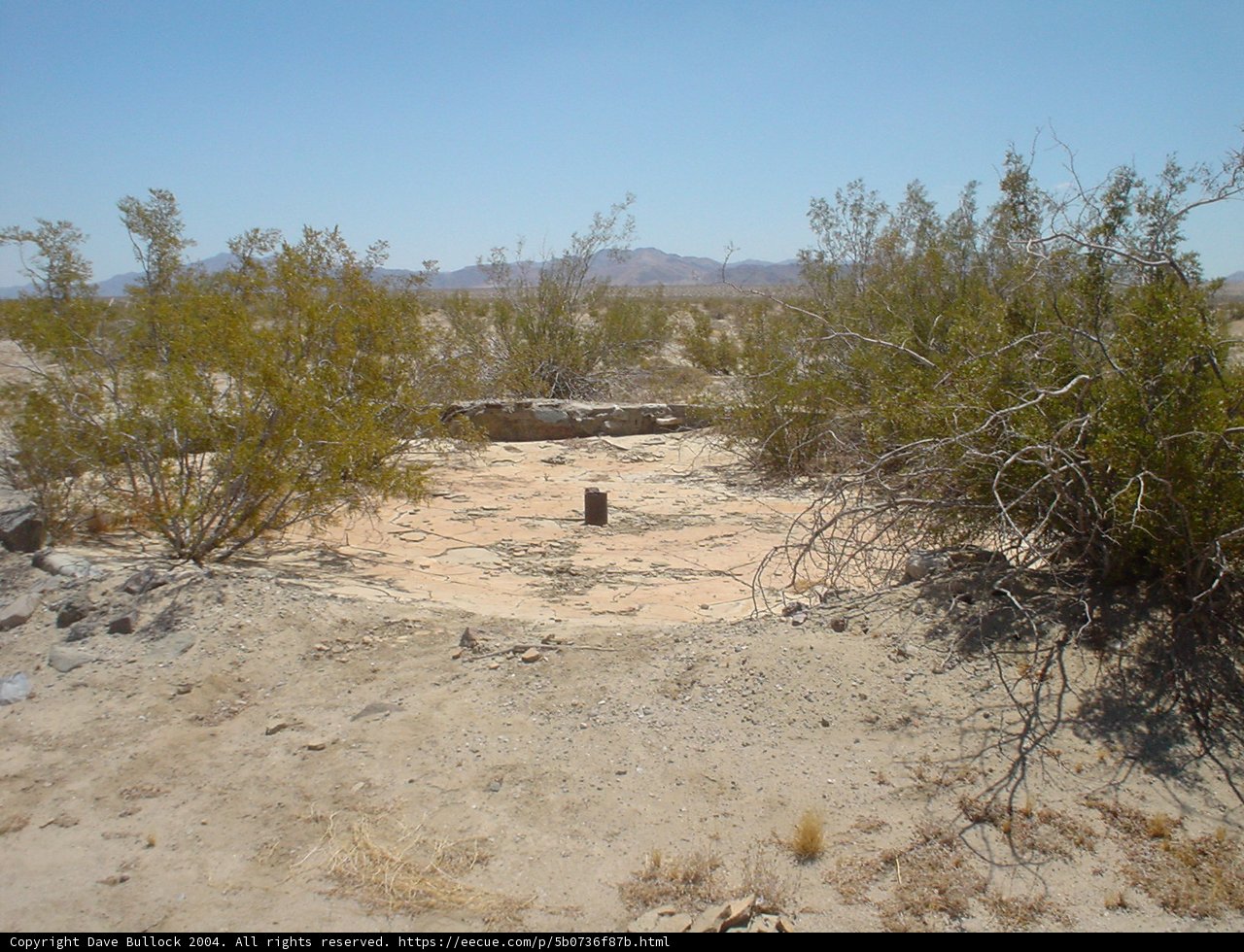 Fire Hydrant Amongst the Desert Flora