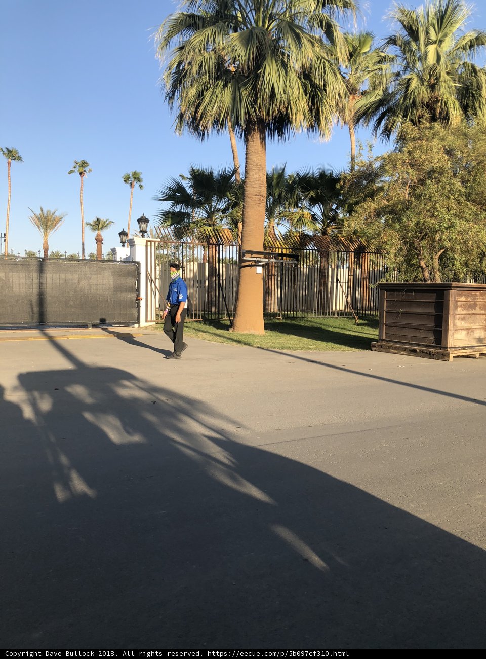 Urban Skateboarding Adventure