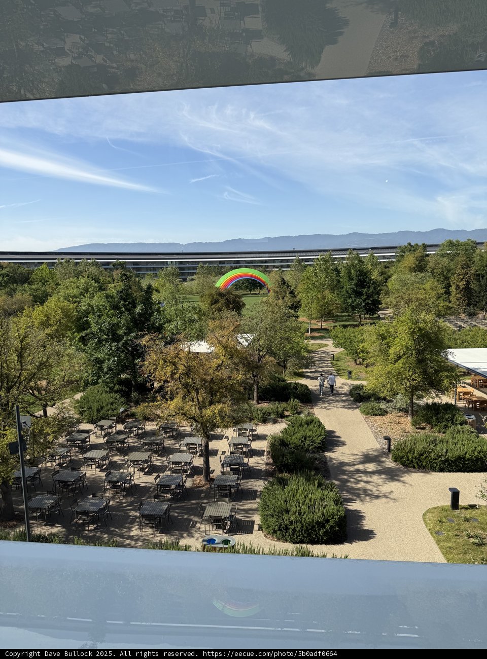 A Tranquil Morning at Apple Park